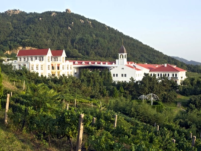 1634300095896418.png 33DA46DE-F4B5-4429-82DE-FCA2CA464C0C.png